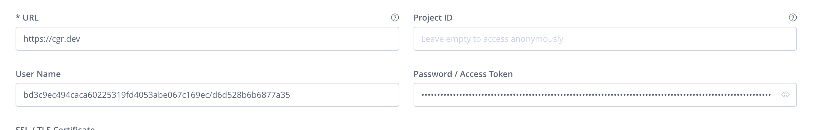 Screenshot showing setting values in Artifactory